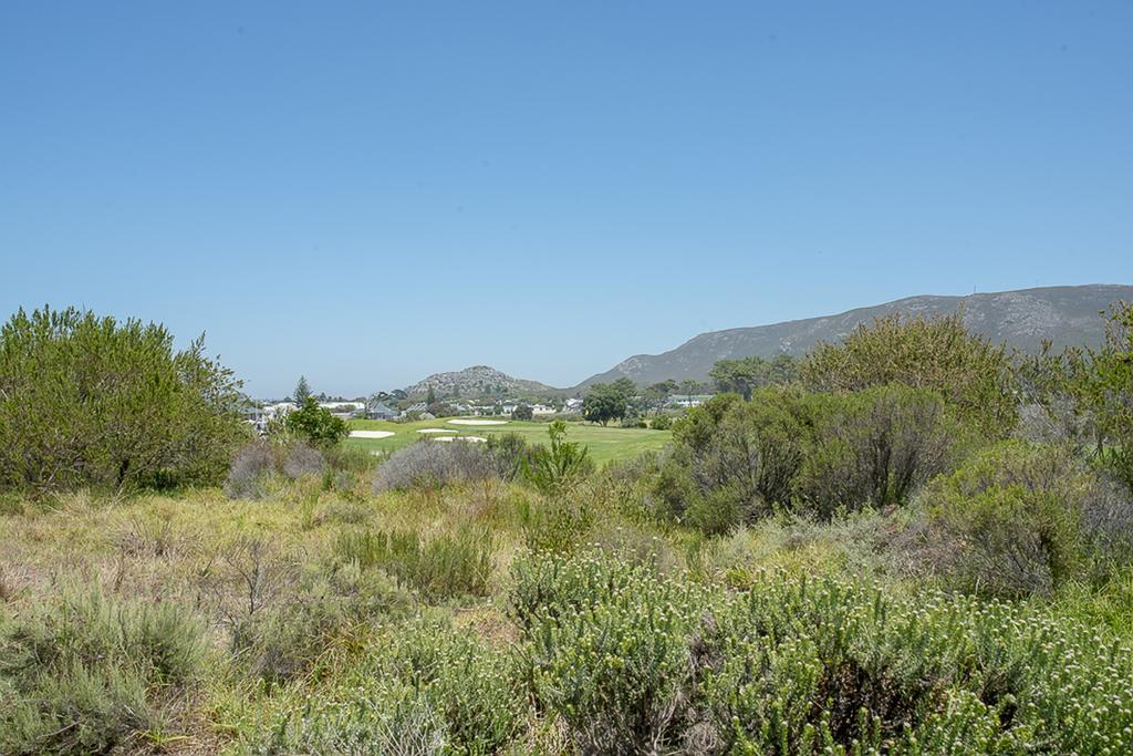 Fernkloof Fairways Villa Hermanus Extérieur photo